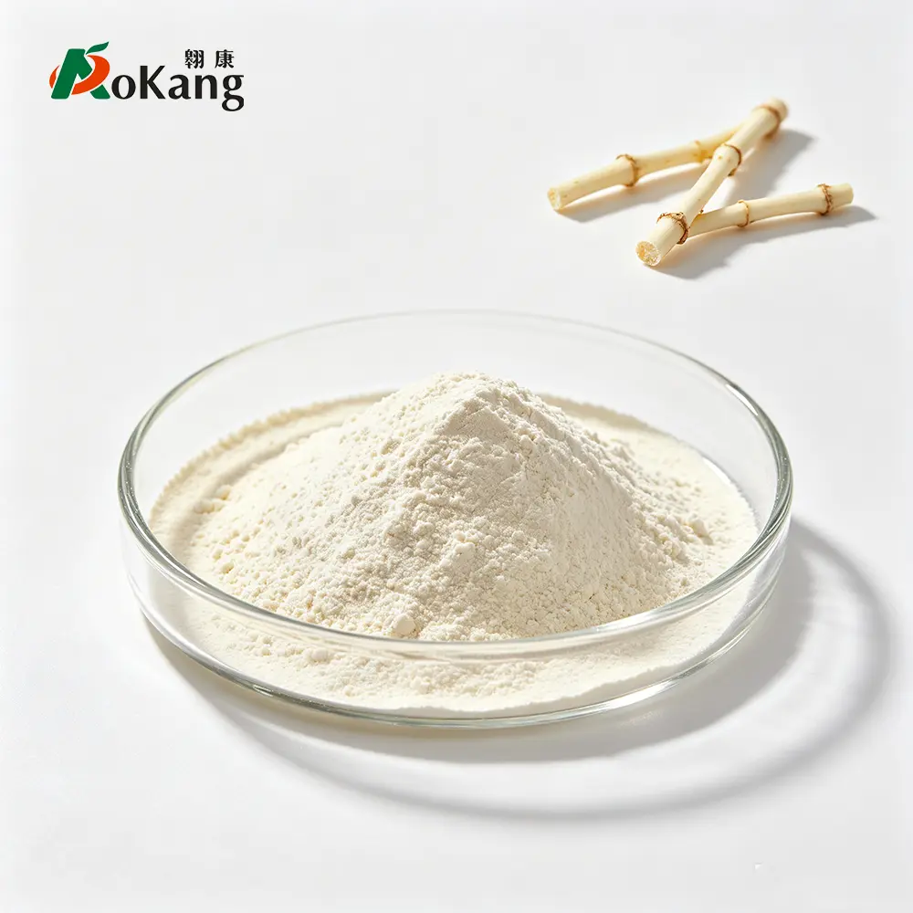 Houttuynia Cordata Powder